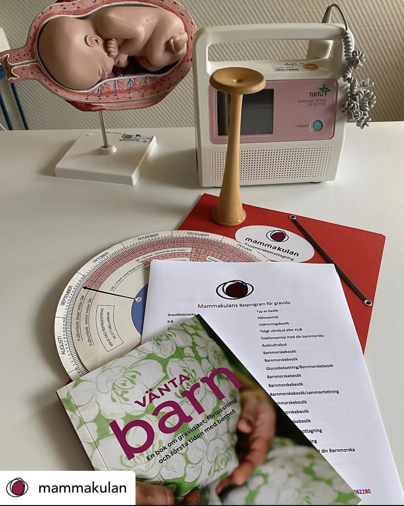 basprogram för gravida 1